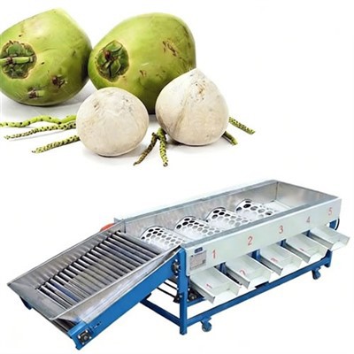 Machine de classement de noix de coco